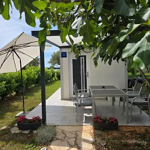 https://studio-apartment-ceca.in-istria.net